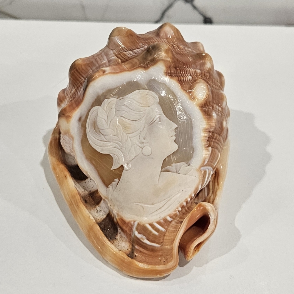 Italian Vintage Cameo Hand Carved on Conch Sea Shell